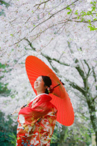 桜の下は赤い番傘がよく似合う